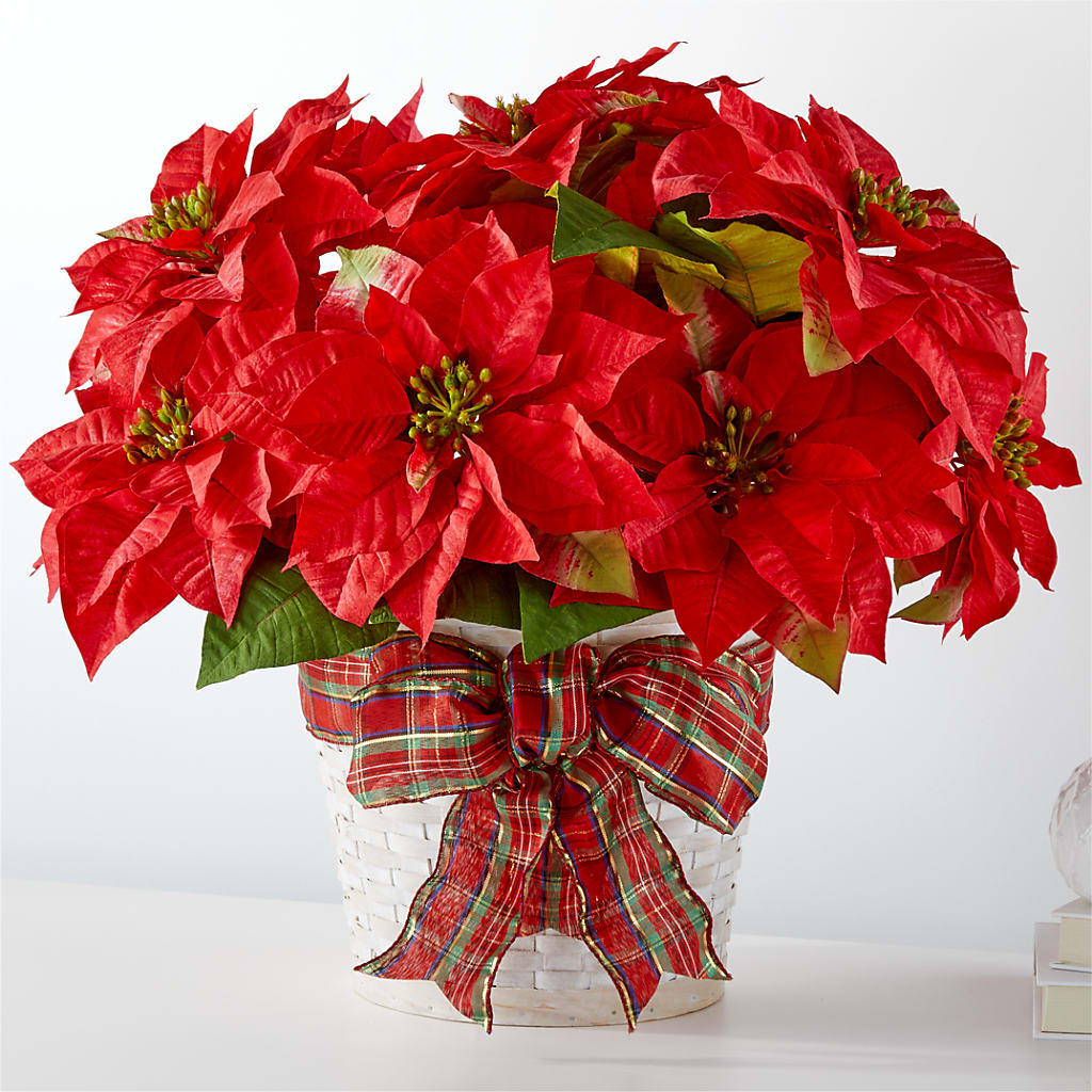 Happiest Holidays Poinsettia – THE SHOPPE ON KEY AVENUE FLORAL & GIFTS, Lampasas TX