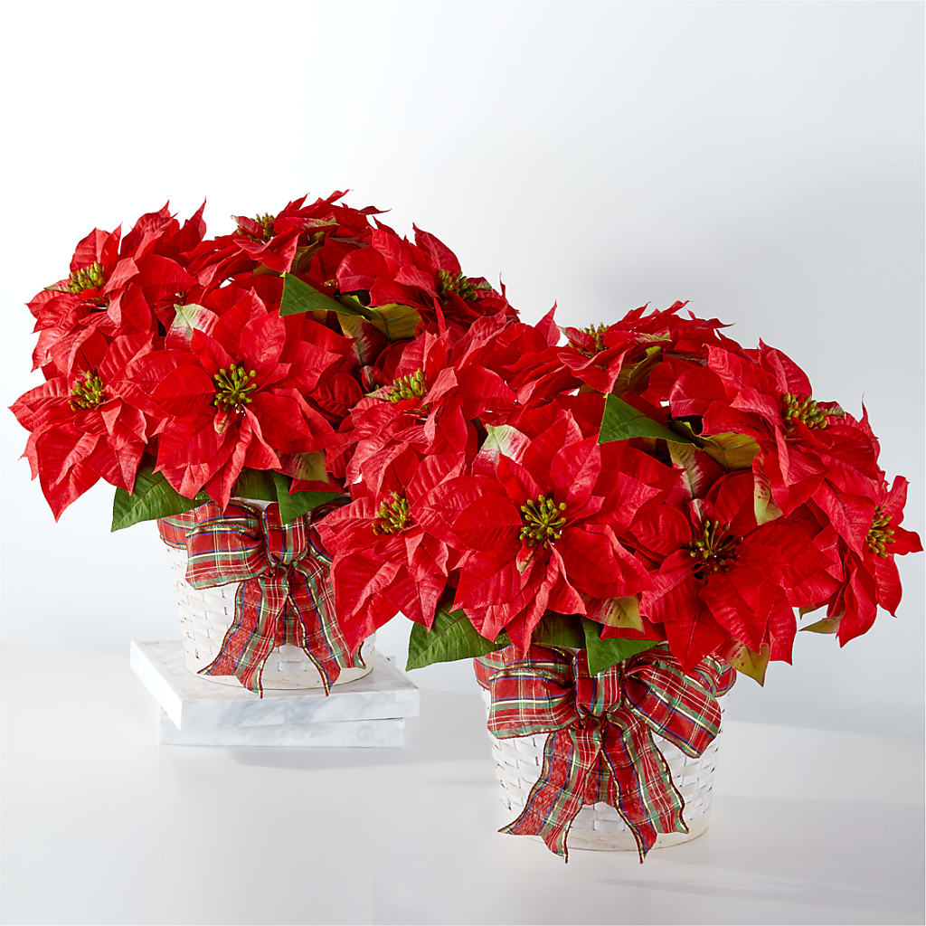 Happiest Holidays Poinsettia Bundle – THE SHOPPE ON KEY AVENUE FLORAL & GIFTS, Lampasas TX