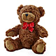 Adorable Plush Bear – THE SHOPPE ON KEY AVENUE FLORAL & GIFTS, Lampasas TX