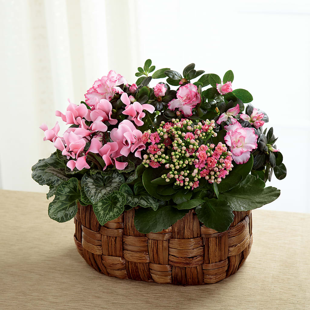 Pink Assortment – THE SHOPPE ON KEY AVENUE FLORAL & GIFTS, Lampasas TX
