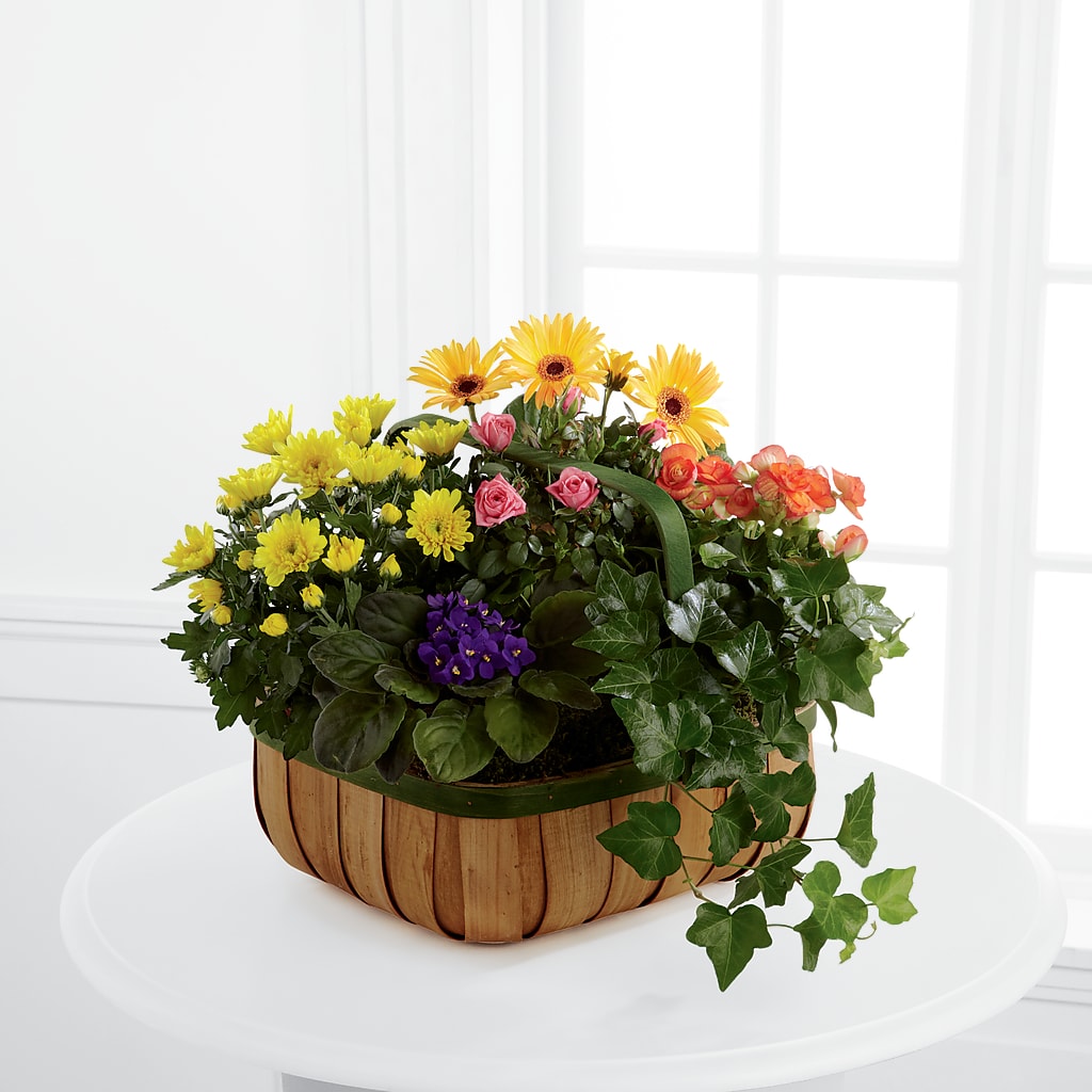 Gentle Blossoms Basket – THE SHOPPE ON KEY AVENUE FLORAL & GIFTS, Lampasas TX