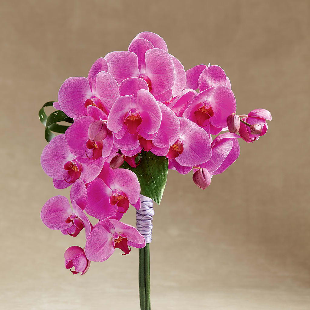 Glorious Bouquet – THE SHOPPE ON KEY AVENUE FLORAL & GIFTS, Lampasas TX