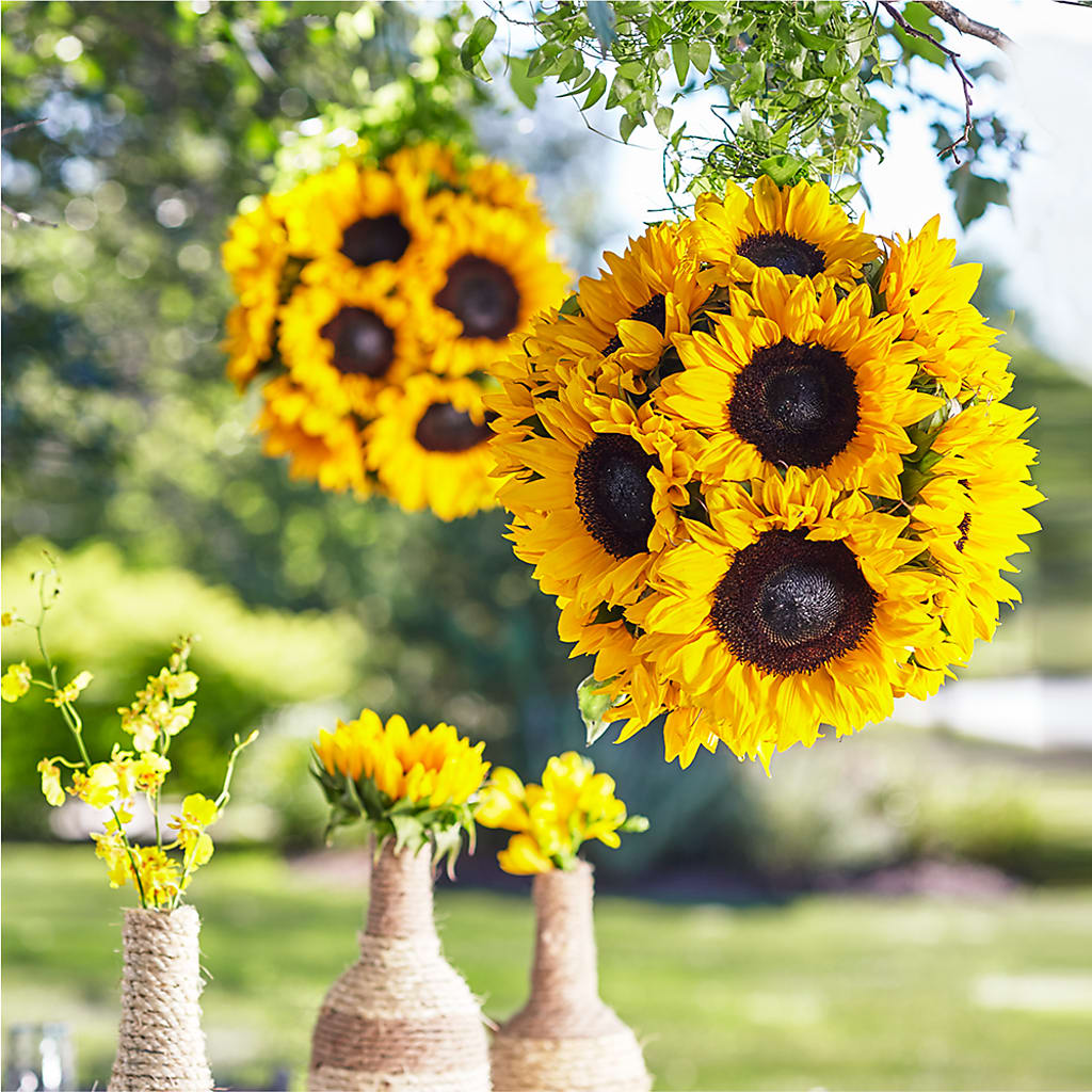 Sublime Garden Hanging Arrangement – THE SHOPPE ON KEY AVENUE FLORAL & GIFTS, Lampasas TX