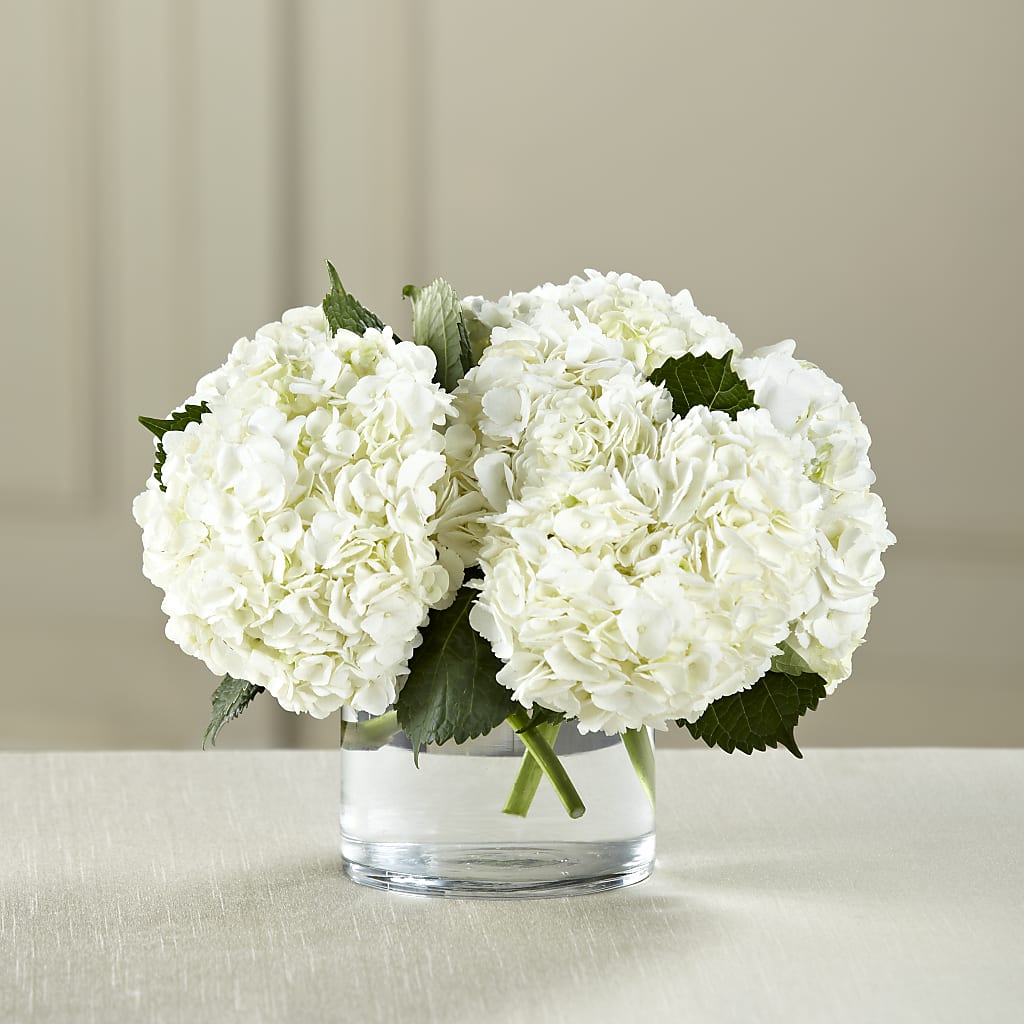 White Hydrangea Bouquet – THE SHOPPE ON KEY AVENUE FLORAL & GIFTS, Lampasas TX