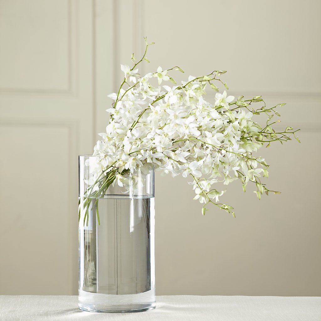 White Dendrobium Bouquet – THE SHOPPE ON KEY AVENUE FLORAL & GIFTS, Lampasas TX